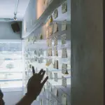 Start-up, creativi, freelance: tutti al co working di Lugano